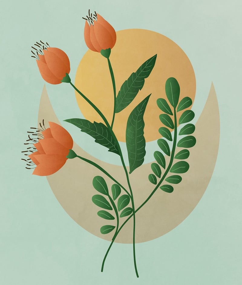 Botanical Illustrations