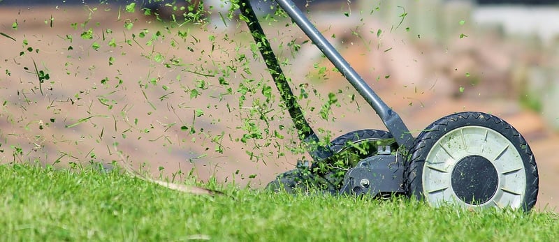 Landscaping Services
