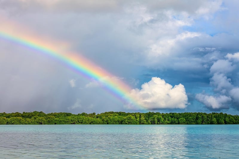 Nature's Colors
